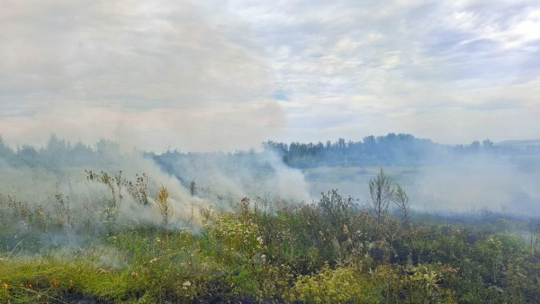 В Сергиевском районе Самарской области жара спровоцировала мощный природный пожар