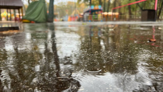 В Самарскую область в начале недели придут первые заморозки до -5 °C