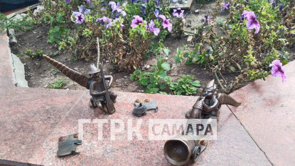 В Самаре нашли похитителей шишиг-летунов