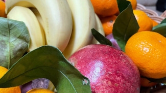 Самарцам напомнили, какие продукты разрешено брать школьникам на ЕГЭ