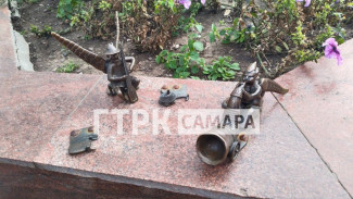 В Самаре нашли похитителей шишиг-летунов