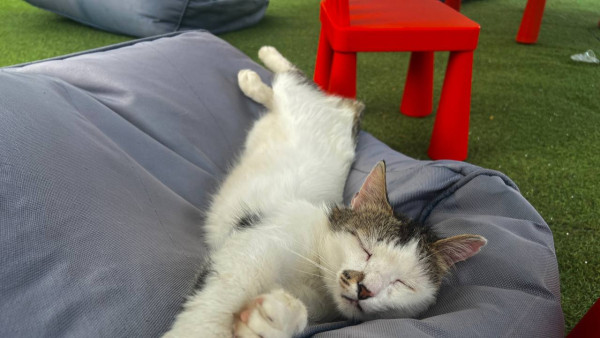 Самарцам объяснили, как превратить 28 дней отпуска в 2 месяца отдыха в 2026 году