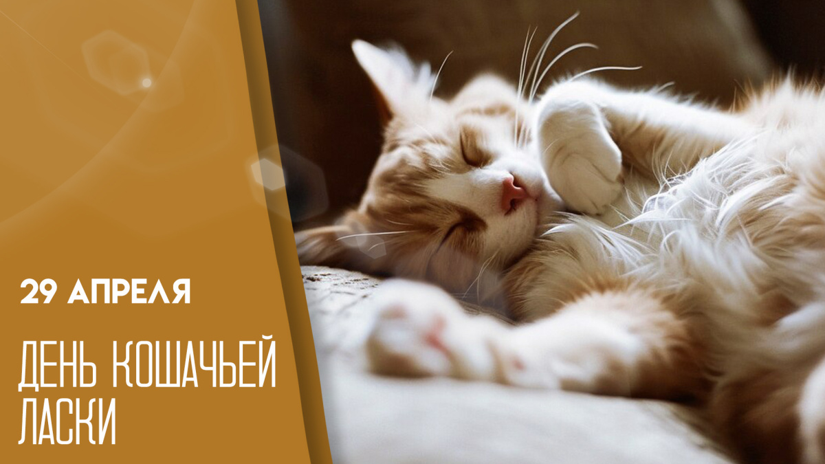 https://tvsamara.ru/i/e3/e33366de72de074c63d4450db99c12d9.jpg