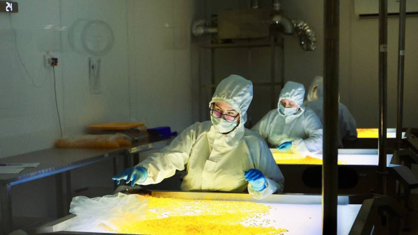 В Самарской области работает уникальный для российской фармацевтики завод 