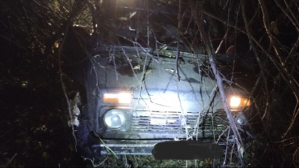 «Нива» с лосями: в Шенталинском районе задержаны браконьеры