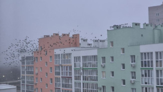 В выходные, 20 и 21 декабря, в Самарской области будет морозно и скользко