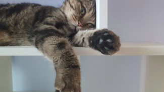 Самару с 28 мая накроет мощная магнитная буря