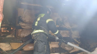 Спасатели вытащили человека из горящего дома под Самарой 