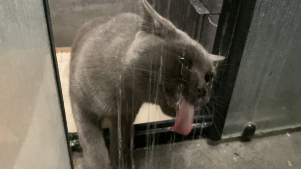 Стало известно, какие дома в Самаре останутся без холодной воды 26 июля