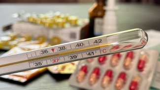 Гонконгский грипп может накрыть Самару в новогодние праздники