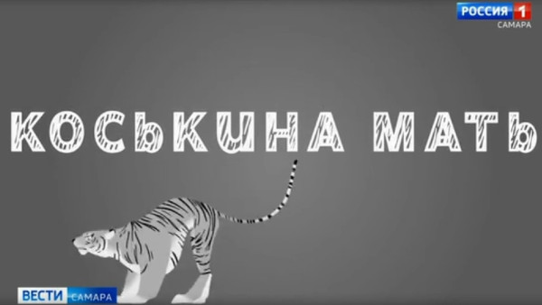 «Коськина мать»: в кинотеатре под открытым небом «Филин» покажут премьеру фильма о династийной дрессировщице Алисе Нестеровой