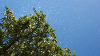 Самарцам рассказали, как пережить жару без вреда для здоровья