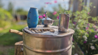  Самарцам рассказали, как не омрачить себе дачный отдых