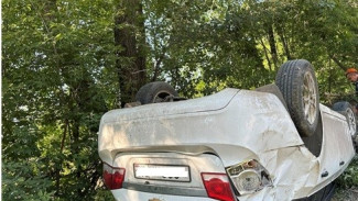 Под Самарой Chevrolet врезался в дерево, пострадала 8-летняя девочка