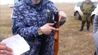 В Самарской области изъяли 550 единиц оружия