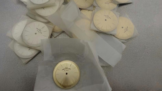 В Самарском аэропорту задержали пассажира с незаконным грузом