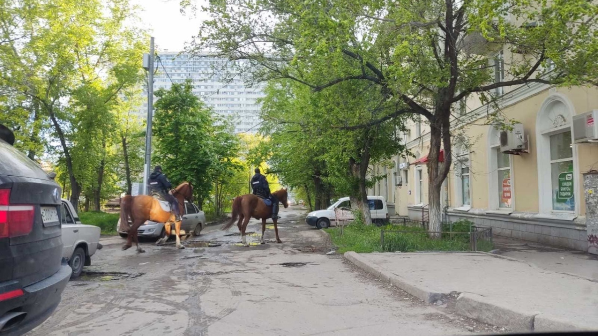 В Самаре на улицы вывели конную полицию – Новости Самары и Самарской  области – ГТРК Самара