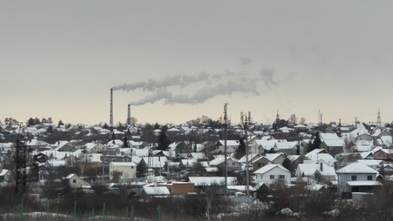 Под Самарой хотят защитить лес от строительства комплекса переработки отходов