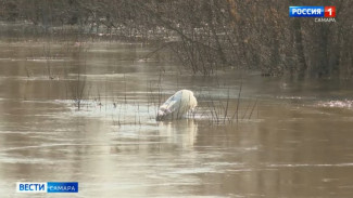 Во время паводка жители Самарской области рискуют заразиться опасной инфекцией