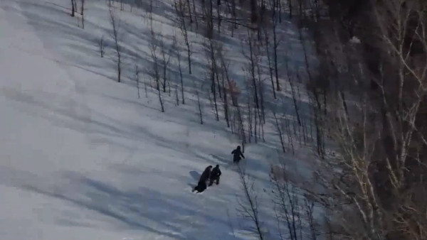 5 обнаруженных в Самарской области при помощи БПЛА мигрантов-нарушителей выдворят из страны