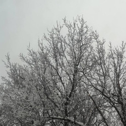 Из-за аномально холодной погоды в Самарской области объявлен оранжевый уровень опасности с 3 февраля