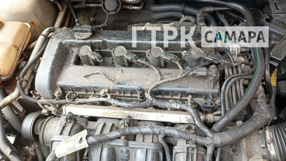 В Самаре автовладельцы жалуются на нашествие крыс у Кировского рынка