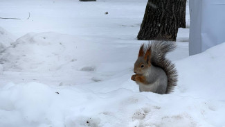 Народные приметы: 14 февраля. В Трифонов день может случиться большая беда, если забыть о запретах предков