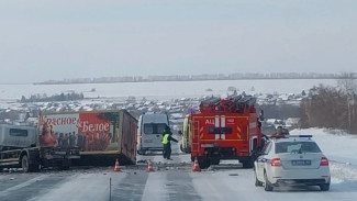 «Вся дверь в крови»: под Самарой два человека погибли на глазах у ребенка в ДТП 