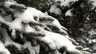  +3 °C: В Самарской области на первой рабочей неделе марта обещают резкое потепление