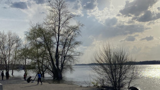 В Самаре решили очистить мазутные озера в Зубчаниновке на окраине Самары
