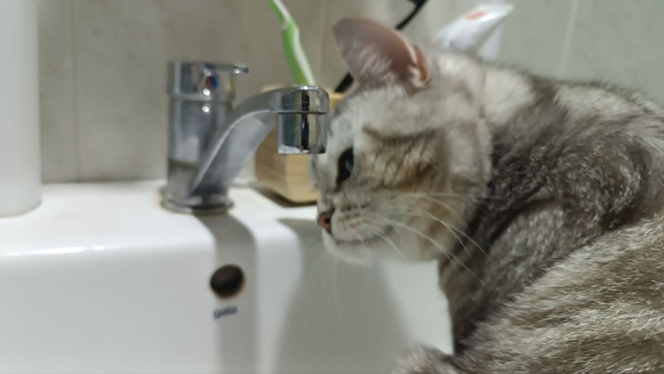 В Самаре в мае отключат холодную воду 