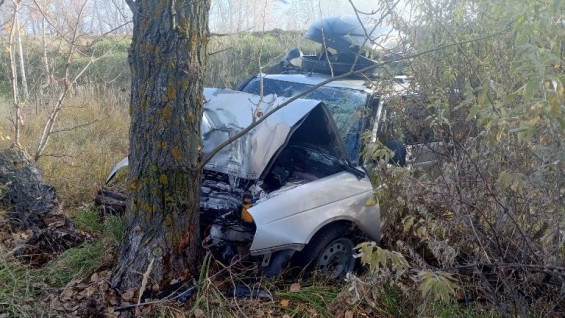 На трассе Тольятти – Ташелка Lada Priora улетела в кювет и врезалась в дерево 29 октября