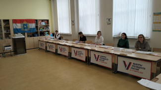 В Самарской области велась незаконная агитация на выборах Президента РФ 