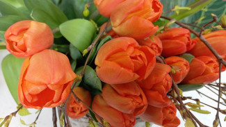 Самарцам рассказали, как не попасться на цветочный обман 8 Марта