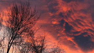 Появились кадры кровавого заката в Самаре 15 ноября