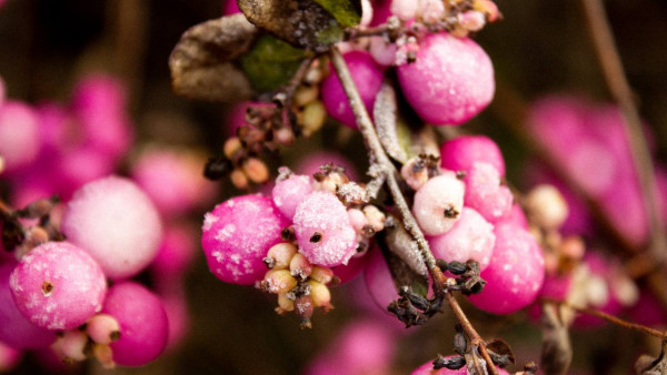 Народный календарь 4 октября 2025: не стоит оставлять грязную посуду на столе в Кондратьев день 