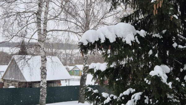 В Самарской области ввели карантин из-за очага смертельно опасного заболевания