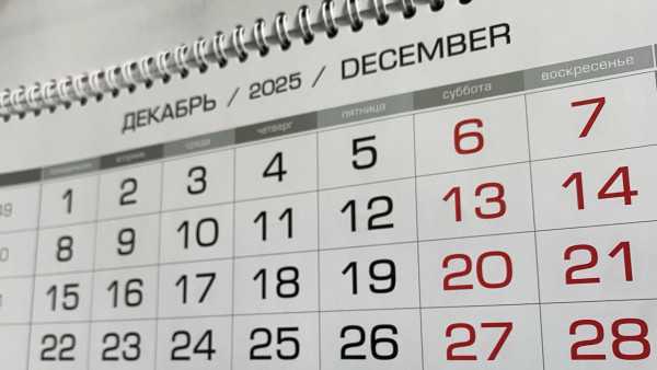 Самарцам рассказали сколько выходных будет в новогодние каникулы