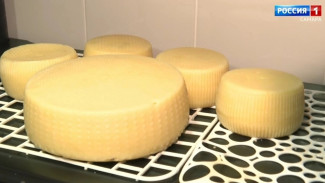 В Самарской области выбрали лучшего сыровара