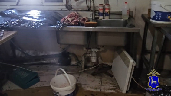 Полиция нашла крыс в шашлычной на популярном рынке в Самаре