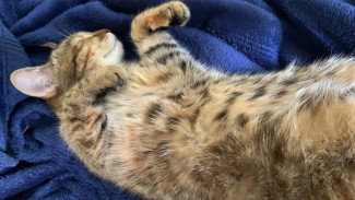 Самару накроет опасный геомагнитный шторм