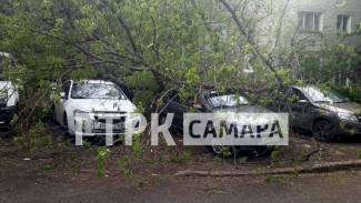 Буйство стихии: последствиями шторма поделились жители Самары