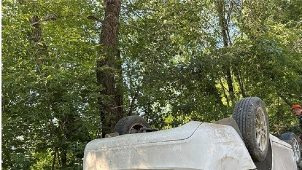 Под Самарой Chevrolet врезался в дерево, пострадала 8-летняя девочка