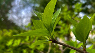 25 июля Проклов День: ни в коем случае не делайте этого, иначе быть болезням