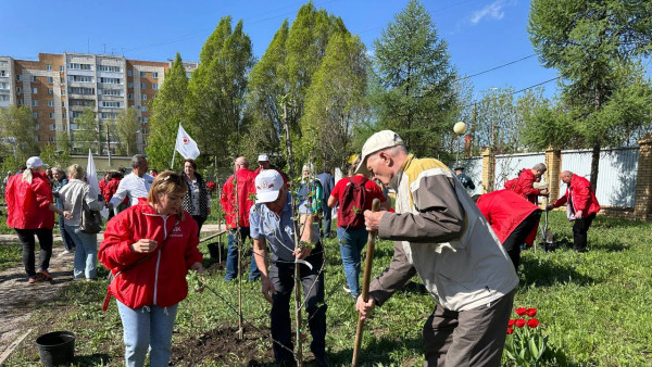 80 яблонь в честь Победы: в Самаре заложили новый сад у госпиталя ветеранов