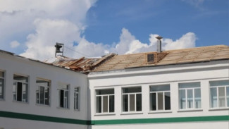 Скалодром устанавливают в одной из самарских школ 