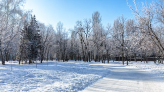 Ожидается -18°C: самарцев предупредили о сильном морозе на следующей неделе