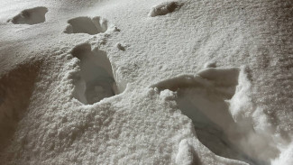 Синоптики рассказали о погоде на Новый год в Самаре