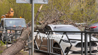 Появились кадры последствий штормового ветра в Самаре 27 апреля 