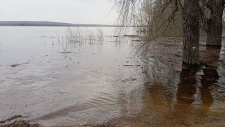 Гидрологи сообщили, где в Самарской области резко прибывает вода